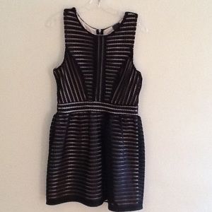 NWT Trixxi Black Lace Dress Size 9